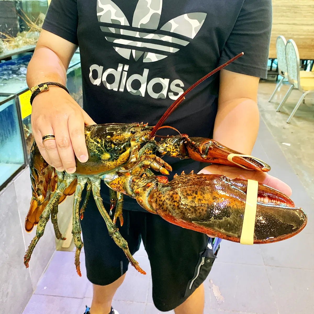 Live Seafood - Senibong Bay Seafood